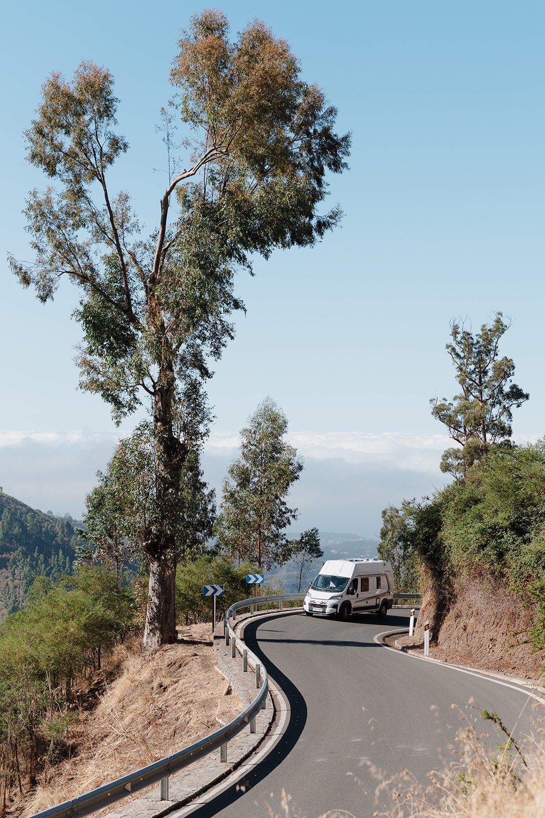 La camper en una carretera de curvas entre eucaliptos, en el interior de Gran Canaria
