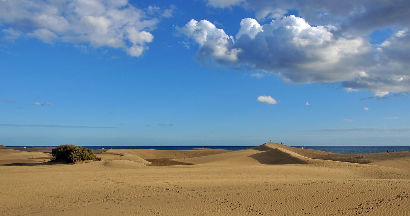 Las dunas de Maspalomas con el mar al fondo